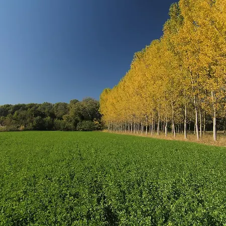 Chateaux Constantin Agistro 3*