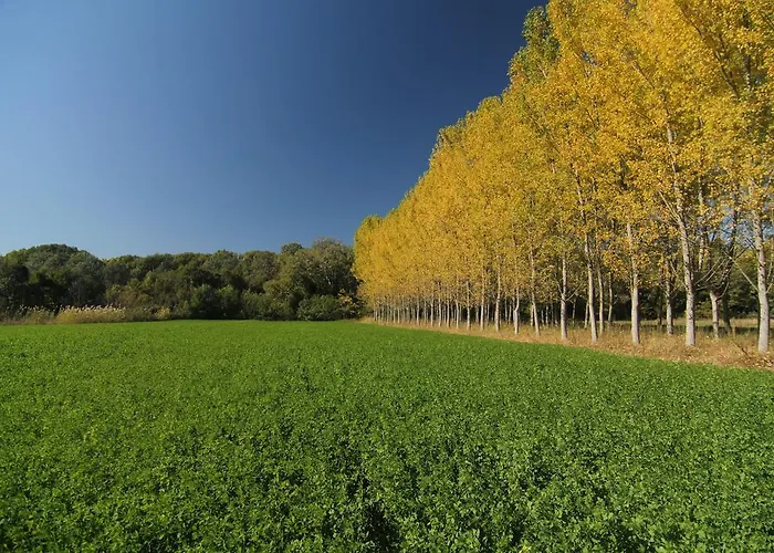 康斯坦丁阿吉斯特罗城堡酒店 3*